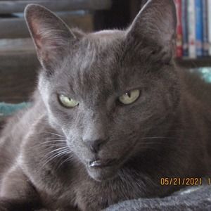 Meet your Posher, Rita